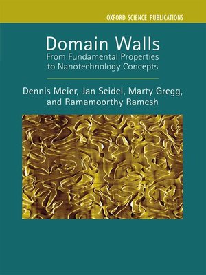 cover image of Domain Walls